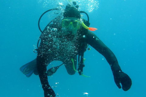 Seastar Luxury Outer Great Barrier Reef Island And Reef Tour From Cairns - Accommodation Adelaide 1
