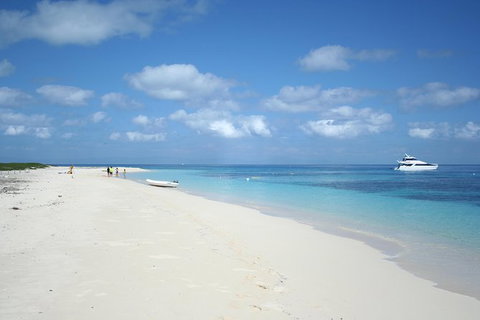 Seastar Luxury Outer Great Barrier Reef Island And Reef Tour From Cairns - Accommodation Adelaide 9