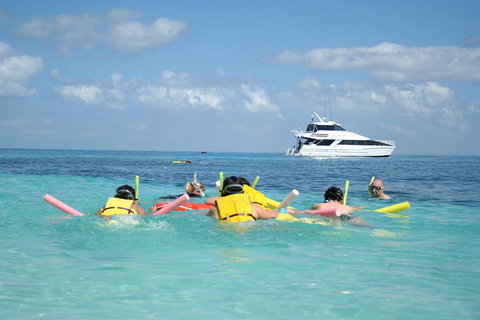 Seastar Luxury Outer Great Barrier Reef Island And Reef Tour From Cairns - Accommodation Adelaide 2