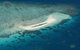 Seastar Luxury Outer Great Barrier Reef Island And Reef Tour From Cairns - thumb 5