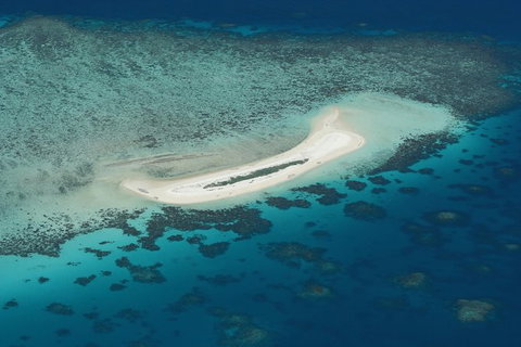 Seastar Luxury Outer Great Barrier Reef Island And Reef Tour From Cairns - Accommodation Adelaide 5