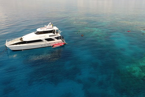 Seastar Luxury Outer Great Barrier Reef Island And Reef Tour From Cairns - Accommodation Adelaide 4