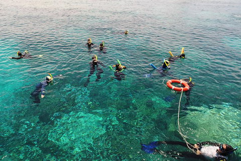 Seastar Luxury Outer Great Barrier Reef Island And Reef Tour From Cairns - Accommodation Adelaide 7