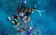 Seastar Luxury Outer Great Barrier Reef Island And Reef Tour From Cairns - thumb 6