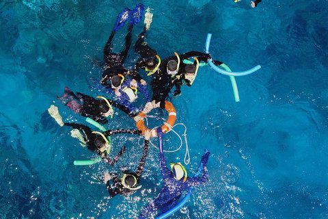 Seastar Luxury Outer Great Barrier Reef Island And Reef Tour From Cairns - Accommodation Adelaide 6