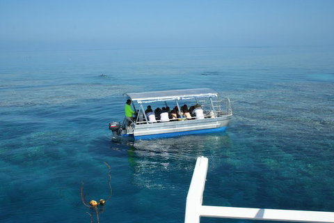 Seastar Luxury Outer Great Barrier Reef Island And Reef Tour From Cairns - Accommodation Adelaide 3