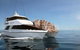 Seastar Luxury Outer Great Barrier Reef Island And Reef Tour From Cairns - thumb 0