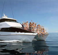 Seastar Luxury Outer Great Barrier Reef Island and Reef Tour from Cairns - Accommodation Adelaide