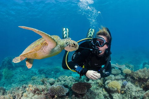 Silverswift Outer Great Barrier Reef Dive And Snorkel Cruise From Cairns - Accommodation Adelaide 1