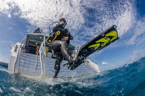 Silverswift Outer Great Barrier Reef Dive And Snorkel Cruise From Cairns - Accommodation Adelaide 6