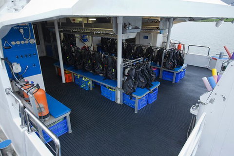 Silverswift Outer Great Barrier Reef Dive And Snorkel Cruise From Cairns - Accommodation Adelaide 5