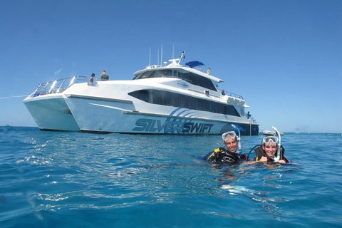 Silverswift Outer Great Barrier Reef Dive And Snorkel Cruise From Cairns - Accommodation Adelaide 0