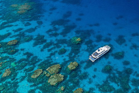 Silverswift Outer Great Barrier Reef Dive And Snorkel Cruise From Cairns - Accommodation Adelaide 2