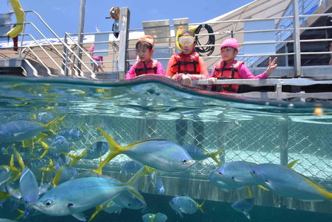 Outer Reef Pontoon Experience From Cairns - Accommodation Adelaide 8