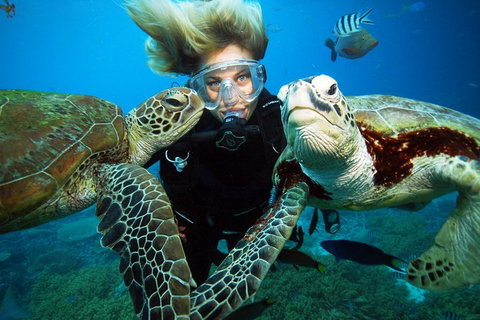 Outer Reef Pontoon Experience From Cairns - Accommodation Adelaide 4