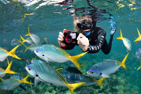 Outer Reef Pontoon Experience From Cairns - Accommodation Adelaide 10