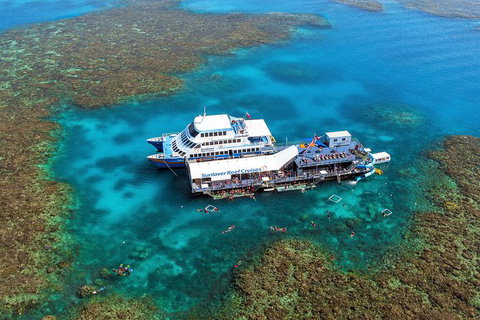 Outer Reef Pontoon Experience From Cairns - Accommodation Adelaide 3