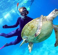 Great Barrier Reef Day Cruise from Cairns Including Snorkeling and Marine Biologist Presentation - Accommodation Adelaide