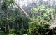Atherton Tablelands Rain Forest By Night From Cairns - thumb 4