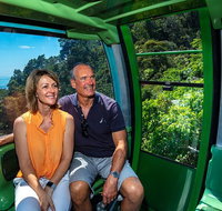 Skyrail Rainforest Cableway Day Trip from Cairns - Accommodation Adelaide