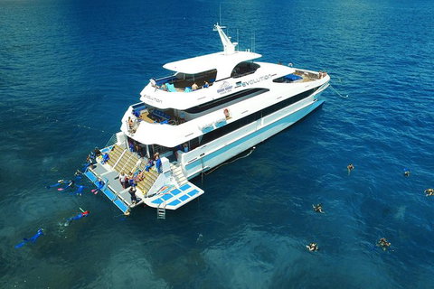 2-Day Best Of Cairns And The Great Barrier Reef - Accommodation Adelaide 5