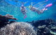 2-Day Best Of Cairns And The Great Barrier Reef - thumb 6