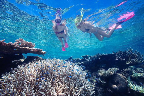 2-Day Best Of Cairns And The Great Barrier Reef - Accommodation Adelaide 6