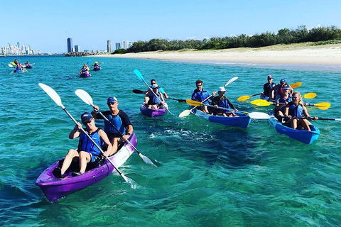 Half Day Dolphin Kayaking And Snorkeling Tour - Accommodation Adelaide 11