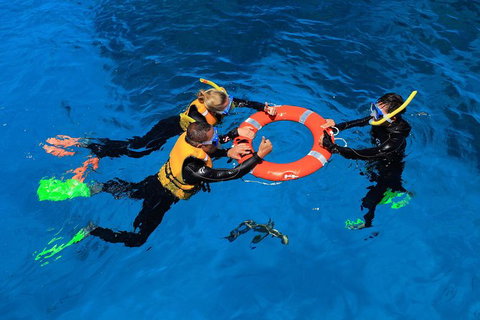 Great Barrier Reef Adventure From Cairns - Accommodation Adelaide 2