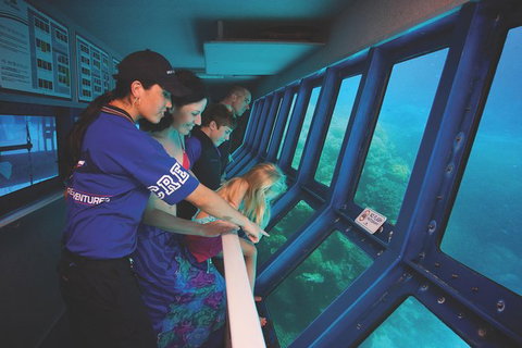 Great Barrier Reef Adventure From Cairns - Accommodation Adelaide 1