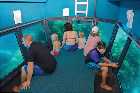 Great Barrier Reef Adventure From Cairns - Accommodation Adelaide 3