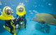 Great Barrier Reef Adventure From Cairns - thumb 5