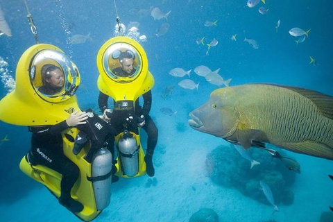 Great Barrier Reef Adventure From Cairns - Accommodation Adelaide 5