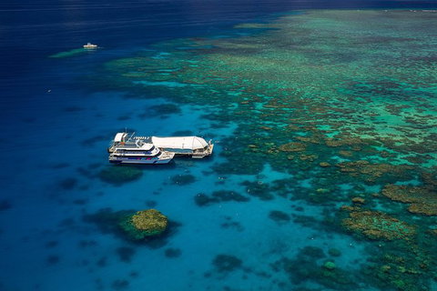 Great Barrier Reef Adventure From Cairns - Accommodation Adelaide 0