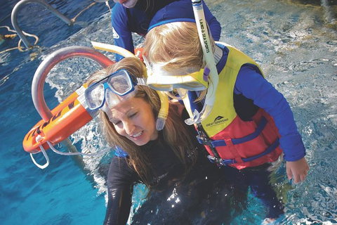 Great Barrier Reef Adventure From Cairns - Accommodation Adelaide 4