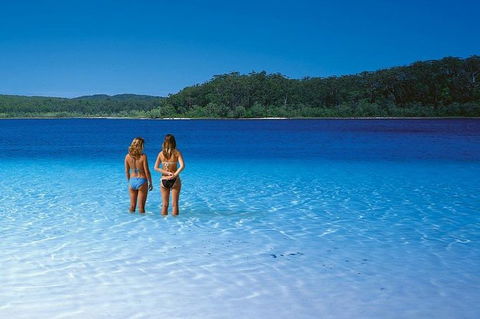 Fraser Island 4WD Tour From Noosa - Accommodation Adelaide 3