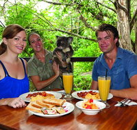 Breakfast with the Koalas at Hartley's Crocodile Park from Cairns or Palm Cove - Accommodation Adelaide