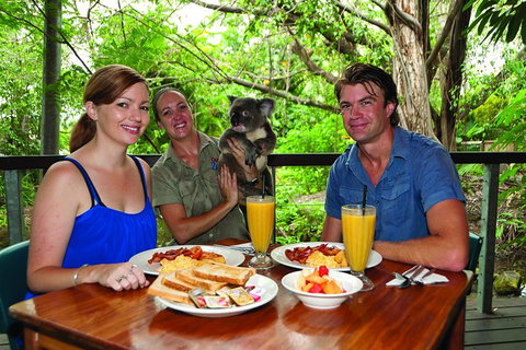 Breakfast With The Koalas At Hartley\'s Crocodile Park From Cairns Or Palm Cove - Accommodation Adelaide 0