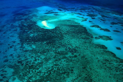40-Minute Great Barrier Reef Scenic Flight From Cairns - Accommodation Adelaide 2