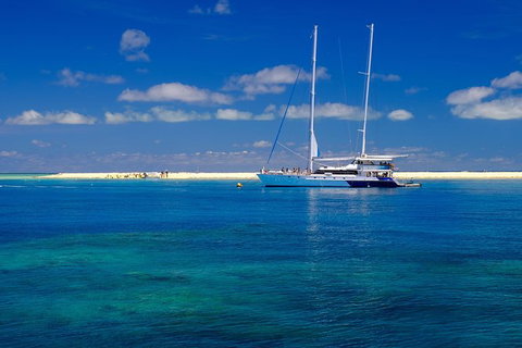 Ocean Spirit Michaelmas Cay Dive And Snorkel Cruise From Cairns - Accommodation Adelaide 1