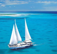 Ocean Spirit Michaelmas Cay Dive and Snorkel Cruise from Cairns - Accommodation Adelaide