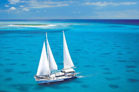 Ocean Spirit Michaelmas Cay Dive And Snorkel Cruise From Cairns - Accommodation Adelaide 0