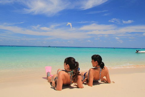 Ocean Spirit Michaelmas Cay Dive And Snorkel Cruise From Cairns - Accommodation Adelaide 3