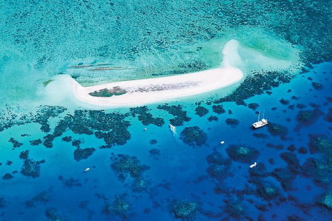 Ocean Spirit Michaelmas Cay Dive And Snorkel Cruise From Cairns - Accommodation Adelaide 4