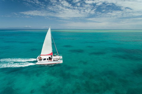 Full-Day Great Barrier Reef Sailing Trip - Accommodation Adelaide 0