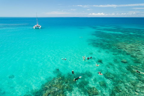 Full-Day Great Barrier Reef Sailing Trip - Accommodation Adelaide 5