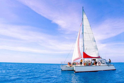 Full-Day Great Barrier Reef Sailing Trip - Accommodation Adelaide 1