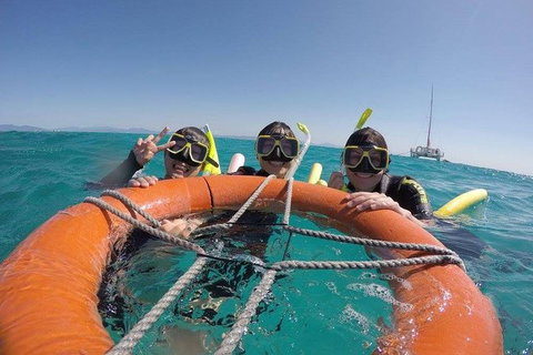 Full-Day Great Barrier Reef Sailing Trip - Accommodation Adelaide 3