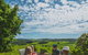 Boutique Atherton Tablelands Small-Group Food And Wine Tasting Tour From Cairns - thumb 1