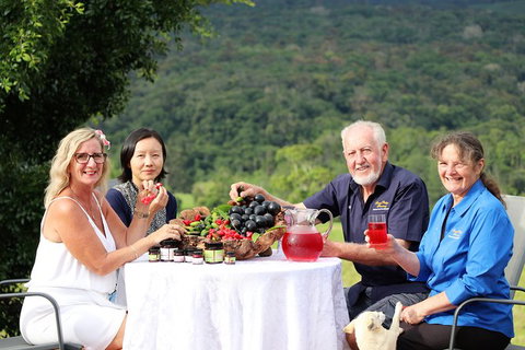 Boutique Atherton Tablelands Small-Group Food And Wine Tasting Tour From Cairns - Accommodation Adelaide 11